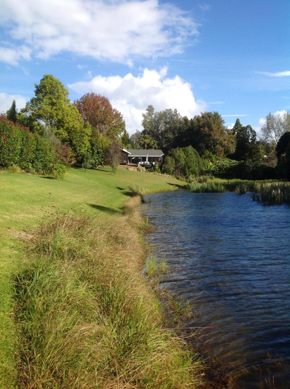 Lakehouse Studio Kerikeri Ngoại thất bức ảnh